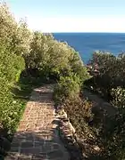 Chemin d'accès facile au sommet du parc.