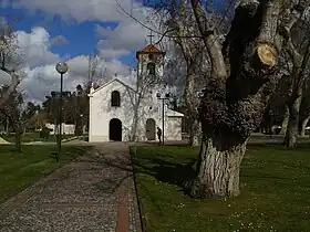 Vagos