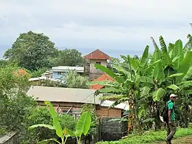 Ponta Figo