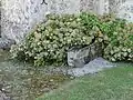 Le sarcophage mérovingien.