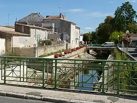 Saujon