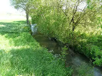 La Sauvanie au pont de l'Épine basse, en limite de Saint-Martial-Viveyrol (à gauche) et Verteillac.