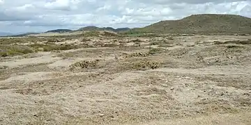 Savane au pied du morne des Pétrifications.