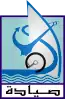 Blason de Sayada