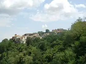 Scansano