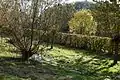 Le Leybeek