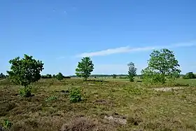 Elpersbüttel