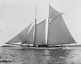 illustration de America (yacht)