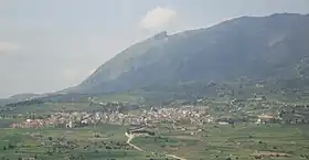 Cerda
