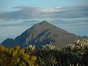 Vue du sommet depuis la Silla de Caracas.
