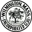 Drapeau de Wilmington