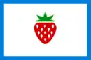 Drapeau de Comté de Searcy
