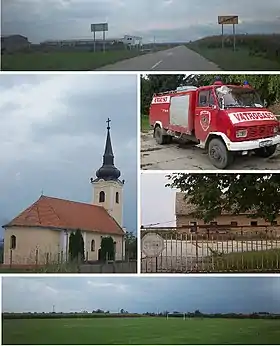 Vera (Trpinja)
