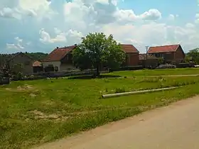 Jašunja