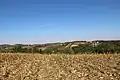 Klanica - Panorama