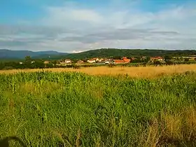Ladovica