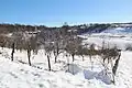 Osladić - panorama