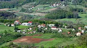 Rastuša