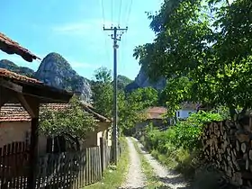 Vlasi