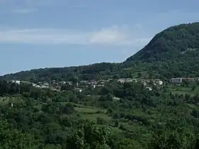 Selvena