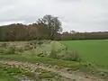 Sente des Solitaires