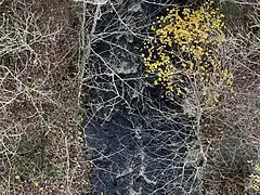 Ruisseau Cossette, tributaire du ruisseau Gendron, sous le pont Saint-Prosper-de-Champlain (Sentier Transcanadien)