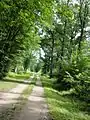 Le sentier pédestre et équestre des 3-Fontaines proche du village de Villers.