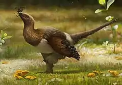 Vue d'artiste d'un Pennaraptora paravien, Serikornis par Emily Willoughby.