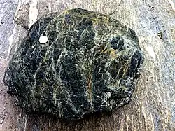 Bloc de serpentinite provenant du flanc nord du massif du Mont-Cenis.