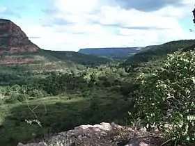 Palmeira do Piauí