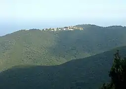 Ornaso.