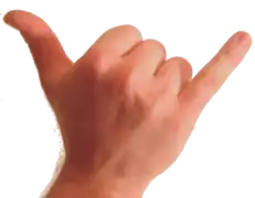 Shaka (signe)