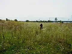 Grad classé,