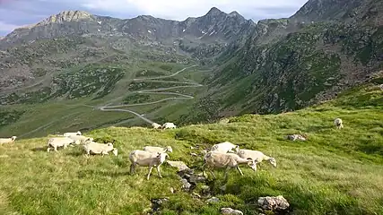 Pic d'Arcalís à gauche de l'image.