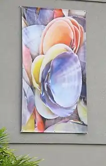 Bannière extérieure avec le bivalve Asaphis deflorata (en).