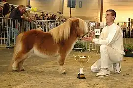 Concours à Agriflanders en 2009