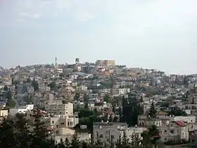 Shefa Amr