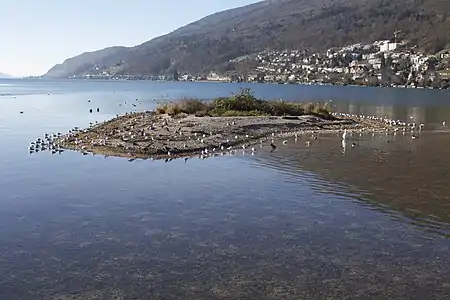 Image illustrative de l’article Vogelinsel