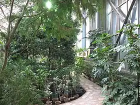 Image illustrative de l’article Jardin botanique de Sibérie