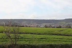 Siddi