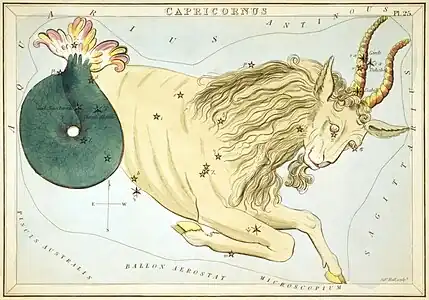 Carte no 25 : Le Capricorne