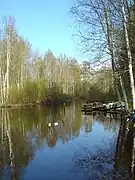La rivière Siilinjoki&nbsp;(fi) à Siilinjärvi.