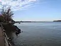 Rive du Danube