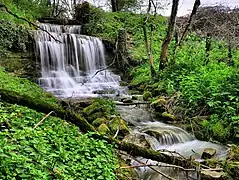 Cascade sur la Bonneille près de sa source.