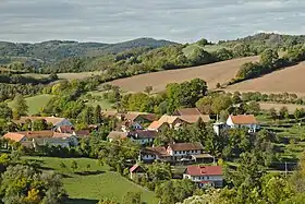 Skorotice