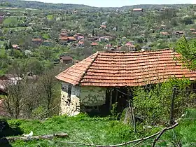 Skrobnica