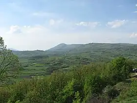 Šljivovik (Bela Palanka)