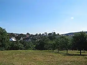 Slopné