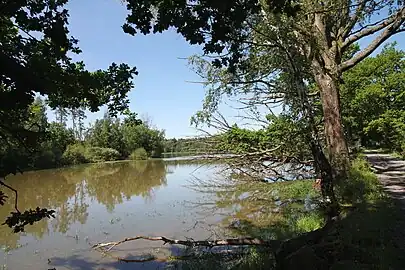 Étang de Smutný.