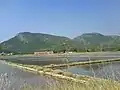 Les salines de Ston